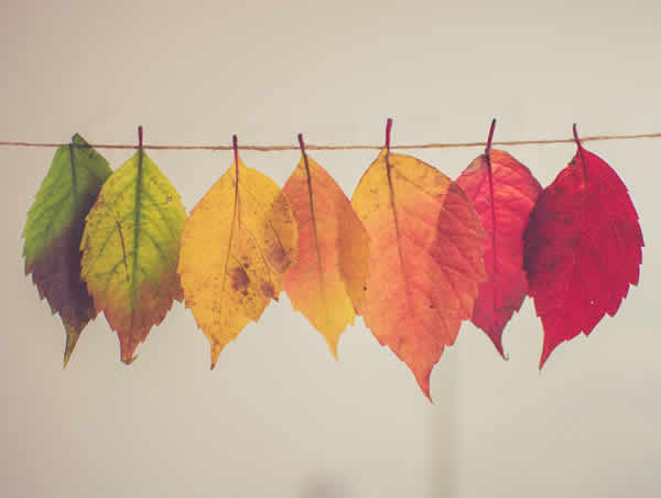changement de saison
